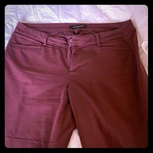 Liverpool dress pants